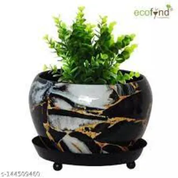 Decorative Plants